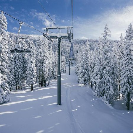 ラ・ロジエールChalet Les Clarinesアパートメント エクステリア 写真