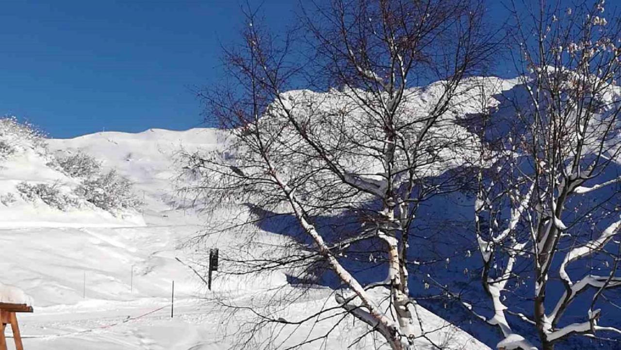 ラ・ロジエールChalet Les Clarinesアパートメント エクステリア 写真