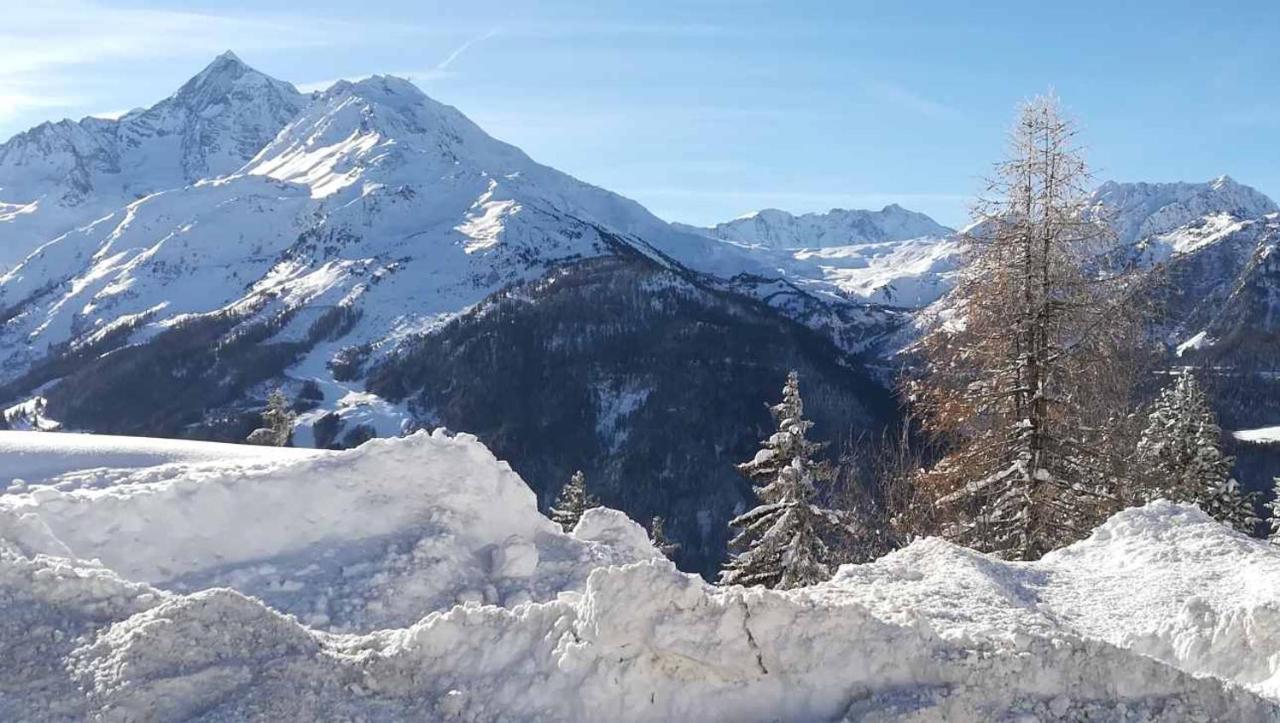ラ・ロジエールChalet Les Clarinesアパートメント エクステリア 写真
