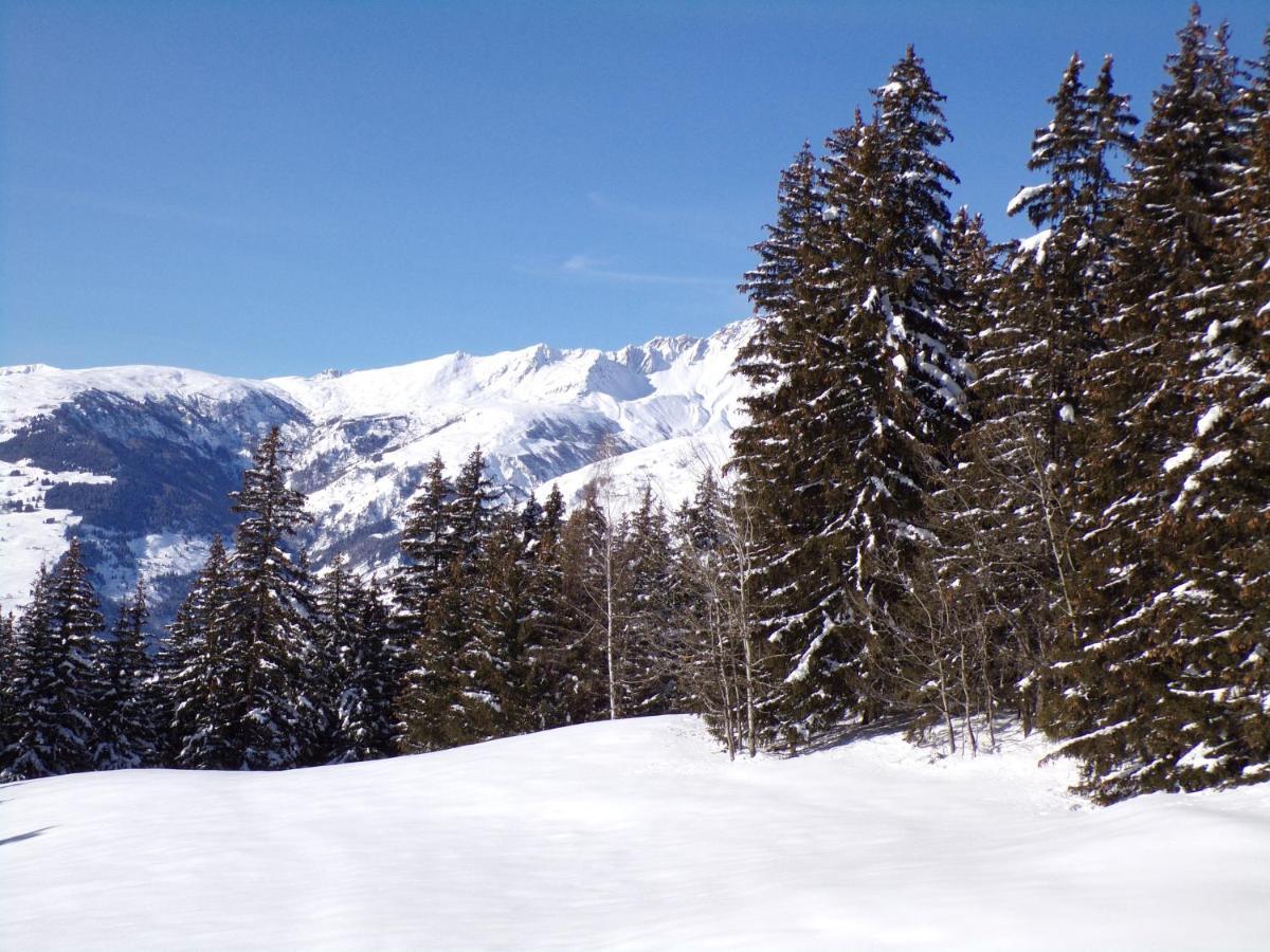 ラ・ロジエールChalet Les Clarinesアパートメント エクステリア 写真
