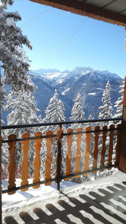 ラ・ロジエールChalet Les Clarinesアパートメント エクステリア 写真